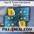 Чудо В Тонике Австралия Кенгуру cialis5